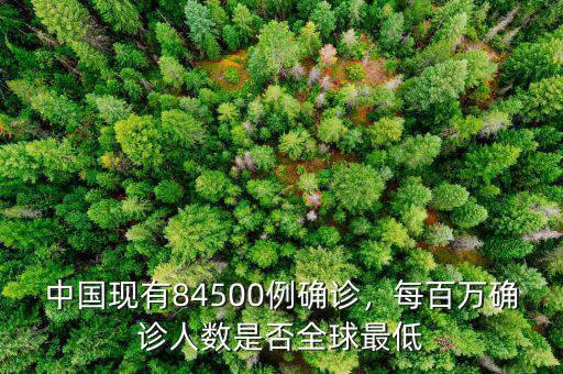 中國(guó)現(xiàn)有84500例確診，每百萬(wàn)確診人數(shù)是否全球最低