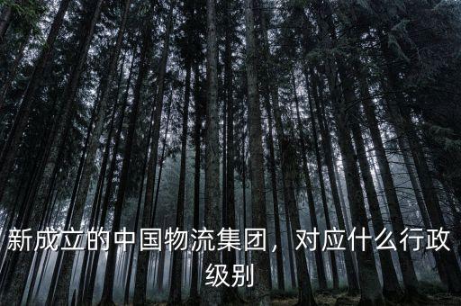 新成立的中國物流集團，對應(yīng)什么行政級別