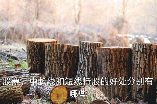 股票，中長線和短線持股的好處分別有哪些