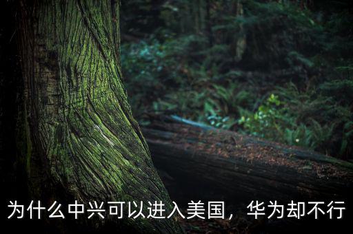 為什么中興可以進入美國，華為卻不行