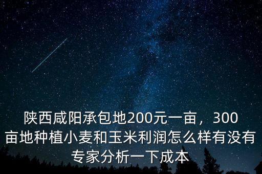 陜西咸陽承包地200元一畝，300畝地種植小麥和玉米利潤怎么樣有沒有專家分析一下成本