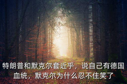 特朗普和默克爾套近乎，說自己有德國血統(tǒng)，默克爾為什么忍不住笑了