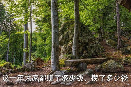 這一年大家都賺了多少錢，攢了多少錢