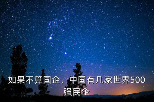 如果不算國企，中國有幾家世界500強(qiáng)民企