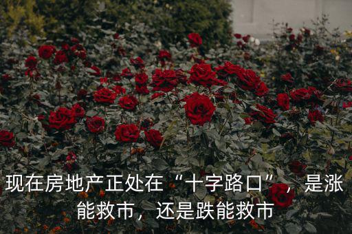 現(xiàn)在房地產(chǎn)正處在“十字路口”，是漲能救市，還是跌能救市