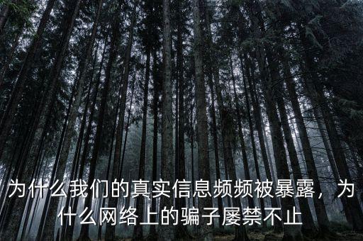 為什么我們的真實(shí)信息頻頻被暴露，為什么網(wǎng)絡(luò)上的騙子屢禁不止