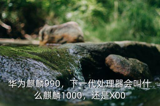 華為麒麟990，下一代處理器會叫什么麒麟1000，還是X00