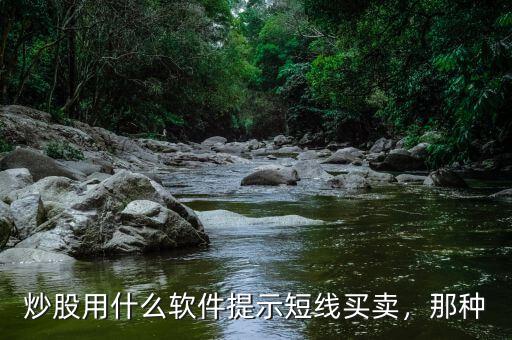 炒股用什么軟件提示短線買賣，那種