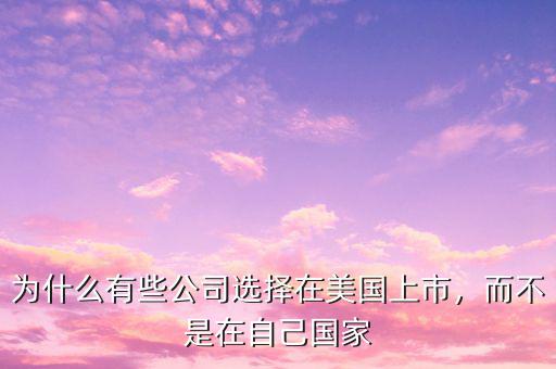 為什么有些公司選擇在美國上市，而不是在自己國家