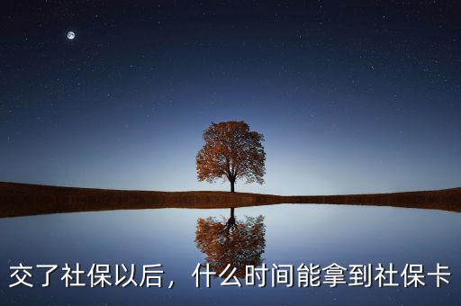 交了社保以后，什么時(shí)間能拿到社?？? class=