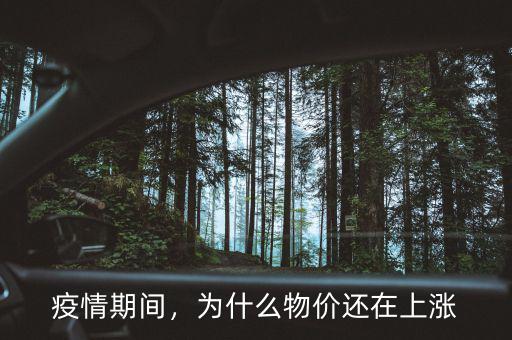 疫情期間，為什么物價還在上漲