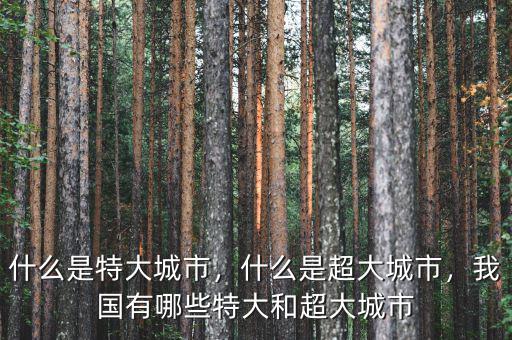 什么是特大城市，什么是超大城市，我國(guó)有哪些特大和超大城市