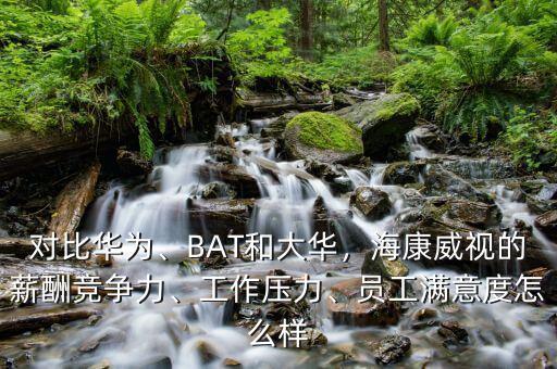 桐廬?？低曉趺礃?員工滿意度怎么樣