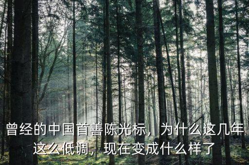 曾經(jīng)的中國首善陳光標(biāo)，為什么這幾年這么低調(diào)，現(xiàn)在變成什么樣了