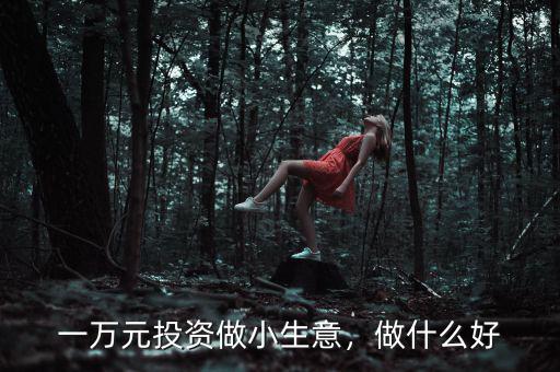 一萬元投資做小生意，做什么好