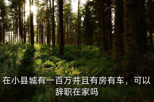 在小縣城有一百萬并且有房有車，可以辭職在家嗎