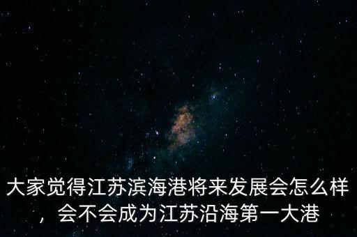 大家覺(jué)得江蘇濱海港將來(lái)發(fā)展會(huì)怎么樣，會(huì)不會(huì)成為江蘇沿海第一大港