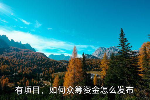 有項(xiàng)目，如何眾籌資金怎么發(fā)布