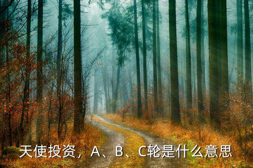 天使投資，A、B、C輪是什么意思