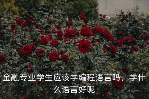 金融專業(yè)學生應該學編程語言嗎，學什么語言好呢