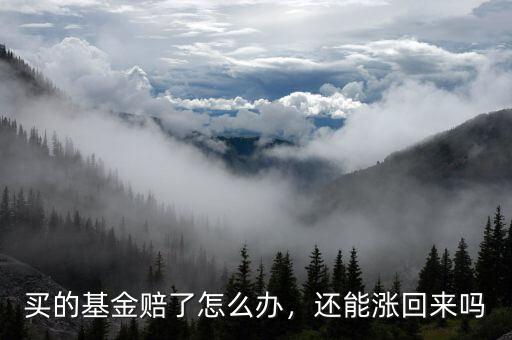 買的基金賠了怎么辦，還能漲回來嗎