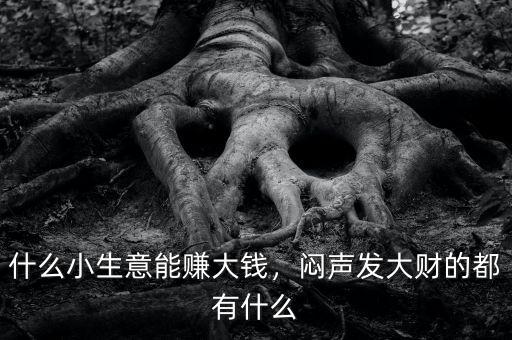 什么小生意能賺大錢，悶聲發(fā)大財(cái)?shù)亩加惺裁? class=