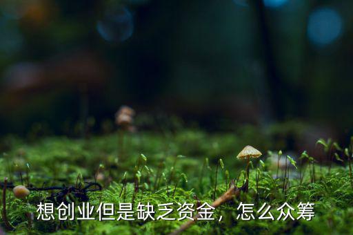 想創(chuàng)業(yè)但是缺乏資金，怎么眾籌