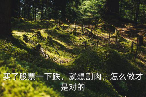 買了股票一下跌，就想割肉，怎么做才是對的