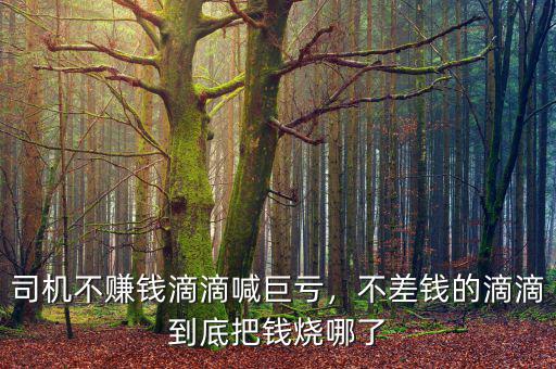 司機不賺錢滴滴喊巨虧，不差錢的滴滴到底把錢燒哪了