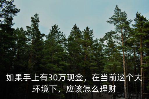 如果手上有30萬現(xiàn)金，在當(dāng)前這個(gè)大環(huán)境下，應(yīng)該怎么理財(cái)