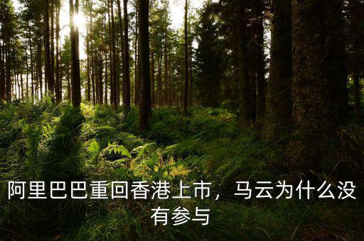 阿里巴巴重回香港上市，馬云為什么沒(méi)有參與