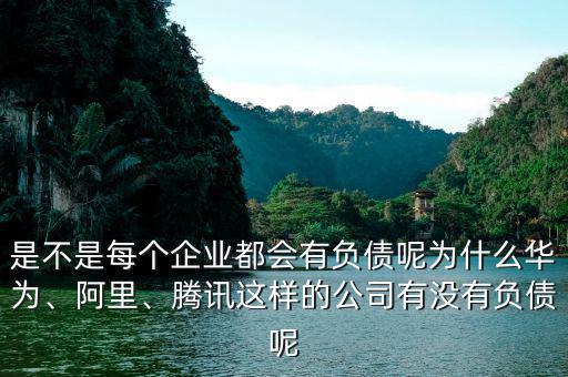 是不是每個企業(yè)都會有負債呢為什么華為、阿里、騰訊這樣的公司有沒有負債呢