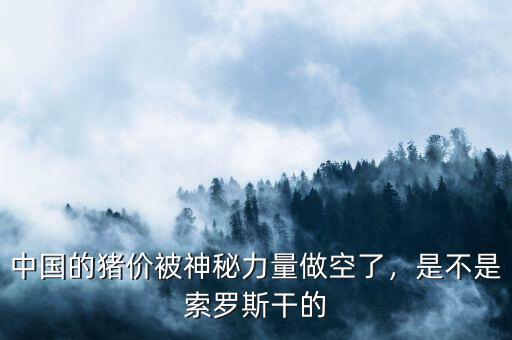 中國的豬價被神秘力量做空了，是不是索羅斯干的