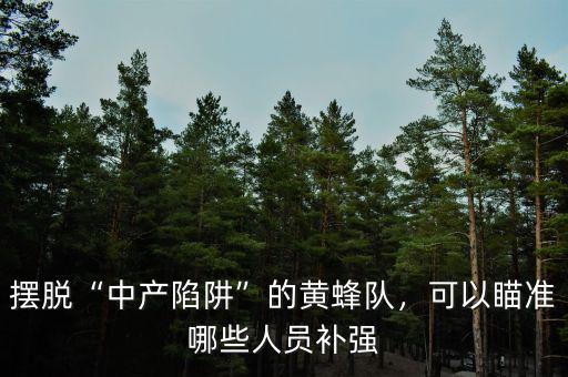 擺脫“中產(chǎn)陷阱”的黃蜂隊，可以瞄準哪些人員補強