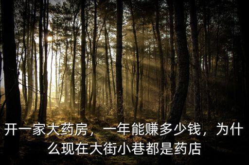 開一家大藥房，一年能賺多少錢，為什么現(xiàn)在大街小巷都是藥店