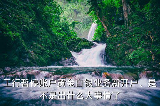 工行暫停賬戶黃金白銀業(yè)務新開戶、是不是出什么大事情了