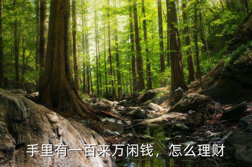 手里有一百來(lái)萬(wàn)閑錢，怎么理財(cái)