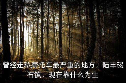 曾經(jīng)走私摩托車(chē)最嚴(yán)重的地方，陸豐碣石鎮(zhèn)，現(xiàn)在靠什么為生