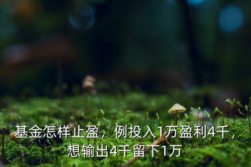 基金怎樣止盈，例投入1萬盈利4千，想輸出4千留下1萬