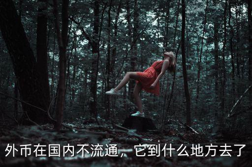 外幣在國內(nèi)不流通，它到什么地方去了