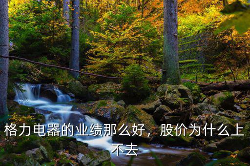 格力電器的業(yè)績那么好，股價為什么上不去