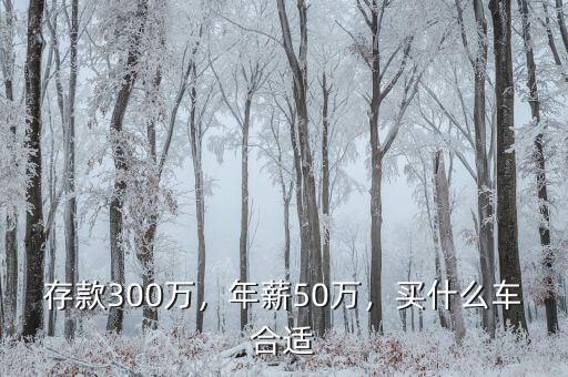 存款300萬，年薪50萬，買什么車合適