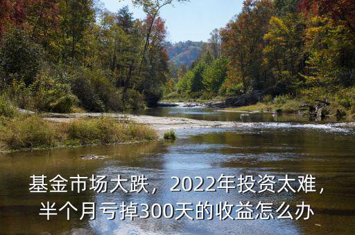 基金市場大跌，2022年投資太難，半個月虧掉300天的收益怎么辦