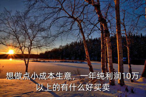 想做點(diǎn)小成本生意，一年純利潤(rùn)10萬以上的有什么好買賣