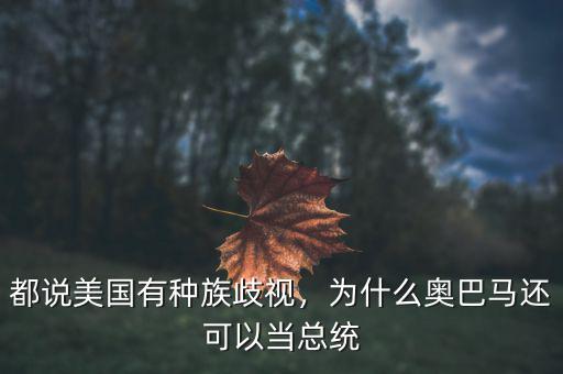 都說美國有種族歧視，為什么奧巴馬還可以當(dāng)總統(tǒng)