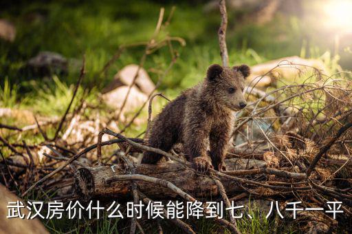 武漢房價什么時候能降到七、八千一平