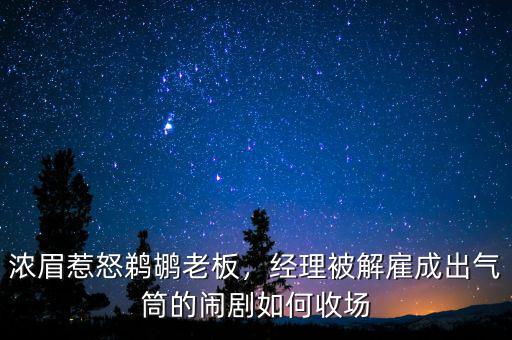 濃眉惹怒鵜鶘老板，經(jīng)理被解雇成出氣筒的鬧劇如何收場