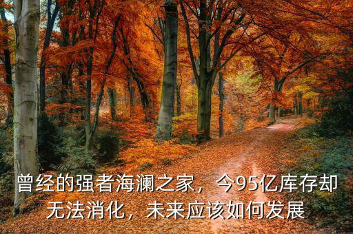 曾經(jīng)的強(qiáng)者海瀾之家，今95億庫(kù)存卻無(wú)法消化，未來(lái)應(yīng)該如何發(fā)展