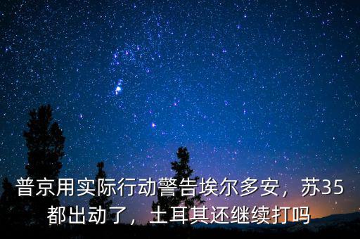 普京用實(shí)際行動(dòng)警告埃爾多安，蘇35都出動(dòng)了，土耳其還繼續(xù)打嗎