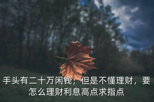 手頭有二十萬閑錢，但是不懂理財(cái)，要怎么理財(cái)利息高點(diǎn)求指點(diǎn)